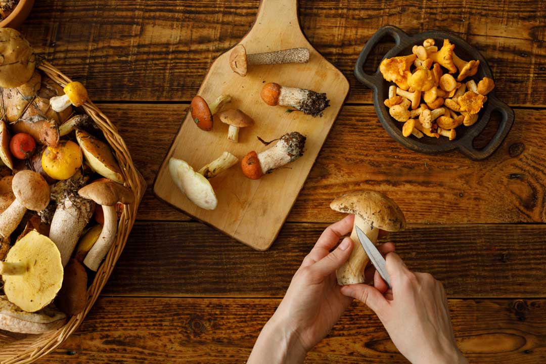 薬剤師が伝授する免疫力アップをする方法