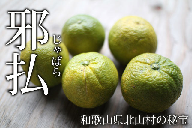 花粉症に「じゃばらチュアブル」入荷しました